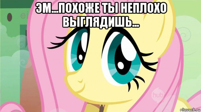 эм...похоже ты неплохо выглядишь... , Мем DONT TOUCH MY FLUTTERSHY SON OF 