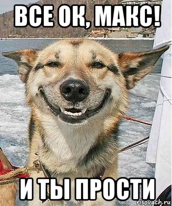 все ок, макс! и ты прости, Мем Довольный пес