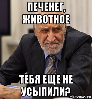 печенег, животное тебя еще не усыпили?, Мем Дроздов