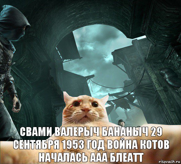  Свами Валерыч Бананыч 29 сентября 1953 год война котов началась ааа блеатт, Комикс  dsdsdsd