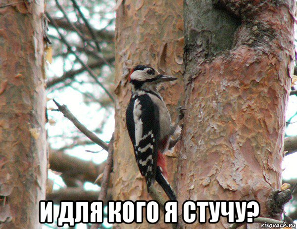  и для кого я стучу?