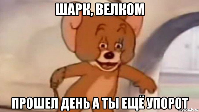 шарк, велком прошел день а ты ещё упорот