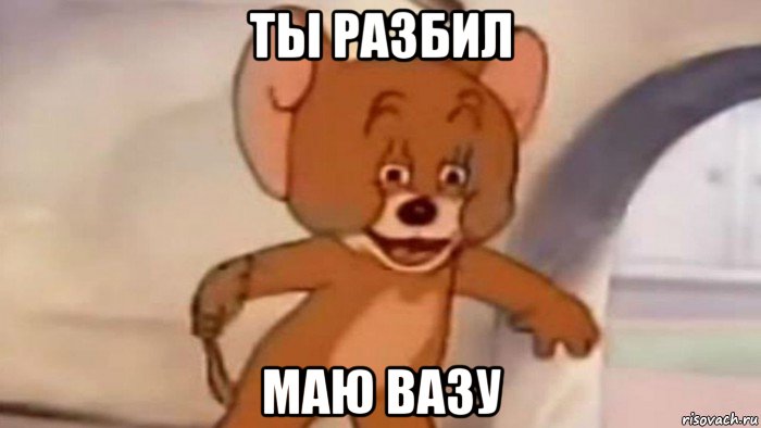 ты разбил маю вазу