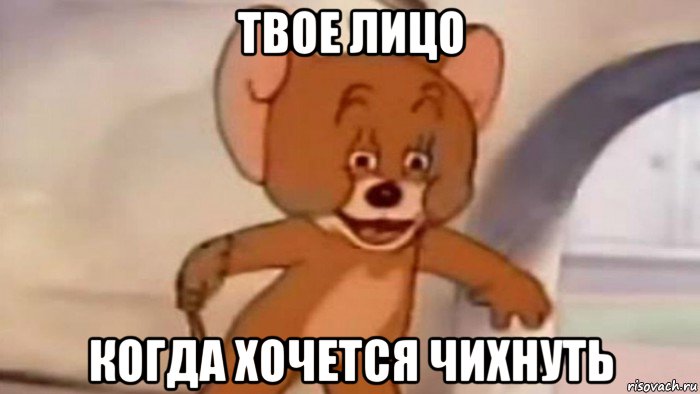 твое лицо когда хочется чихнуть