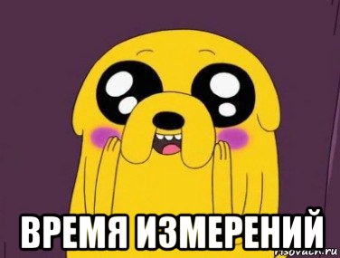  время измерений, Мем  Джейк няшка