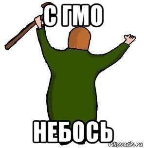 с гмо небось