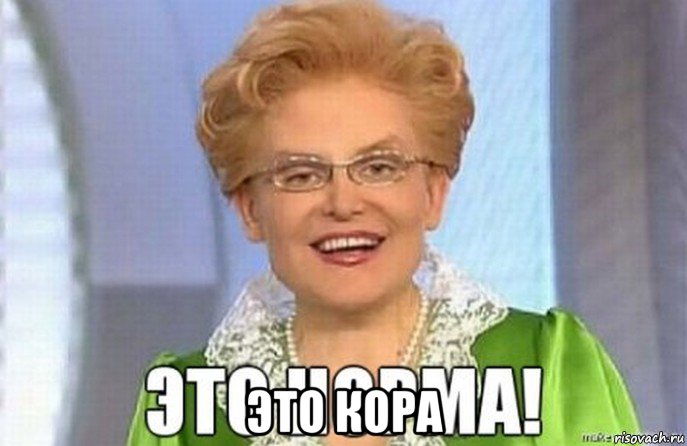  это кора