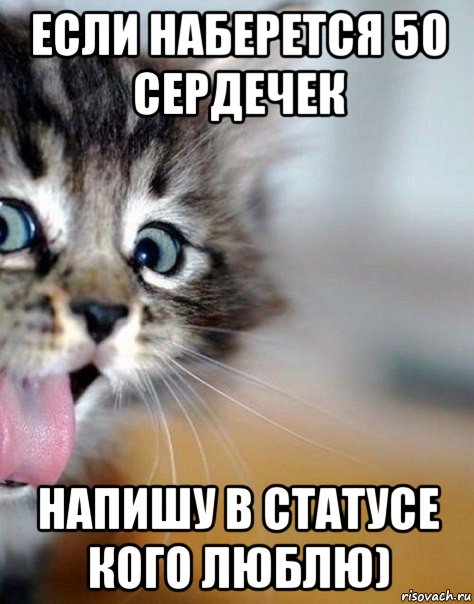 если наберется 50 сердечек напишу в статусе кого люблю)