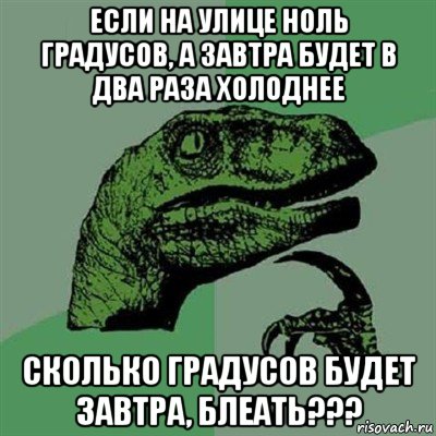 если на улице ноль градусов, а завтра будет в два раза холоднее сколько градусов будет завтра, блеать???, Мем Филосораптор