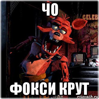 чо фокси крут