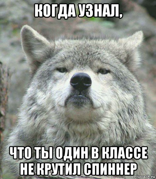 когда узнал, что ты один в классе не крутил спиннер, Мем    Гордый волк