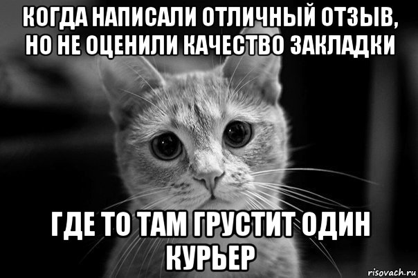 когда написали отличный отзыв, но не оценили качество закладки где то там грустит один курьер