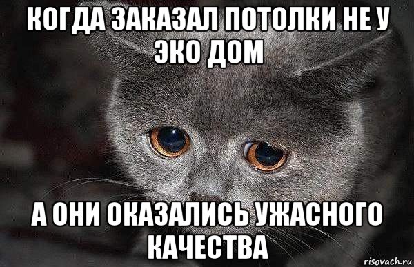 когда заказал потолки не у эко дом а они оказались ужасного качества, Мем  Грустный кот