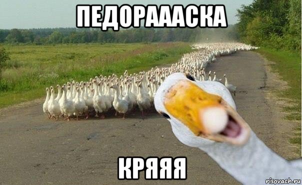 педораааска кряяя