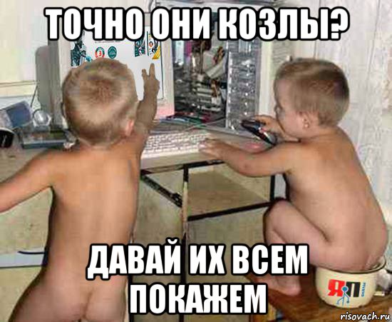 точно они козлы? давай их всем покажем