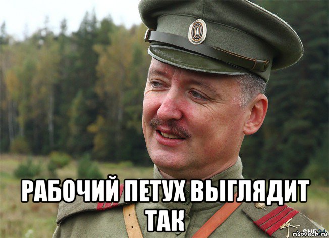  рабочий петух выглядит так