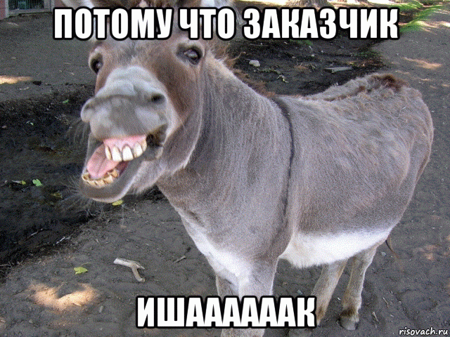 потому что заказчик ишаааааак