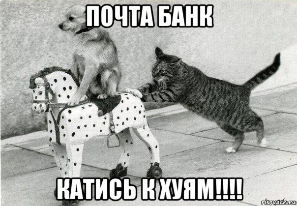 почта банк катись к хуям!!!!, Мем Катись к хуям