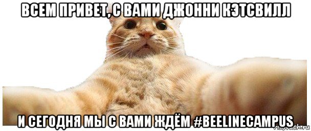 всем привет, с вами джонни кэтсвилл и сегодня мы с вами ждём #beelinecampus, Мем   Кэтсвилл