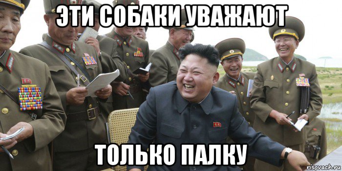 эти собаки уважают только палку