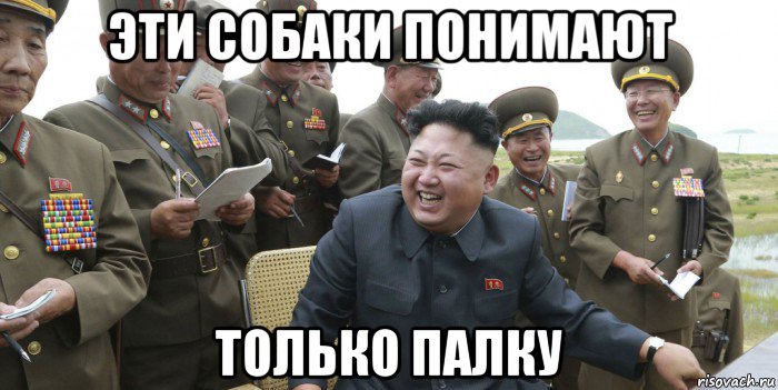 эти собаки понимают только палку