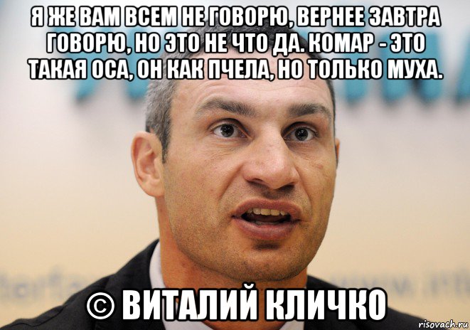 я же вам всем не говорю, вернее завтра говорю, но это не что да. комар - это такая оса, он как пчела, но только муха. © виталий кличко