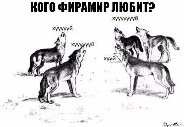 Кого фирамир любит?, Комикс Когда хочешь