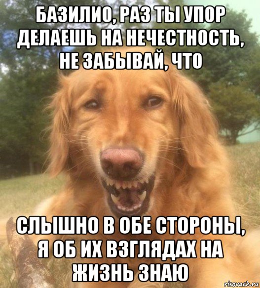 базилио, раз ты упор делаешь на нечестность, не забывай, что слышно в обе стороны, я об их взглядах на жизнь знаю, Мем   Когда увидел что соседского кота отнесли в чебуречную