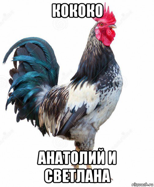 кококо анатолий и светлана