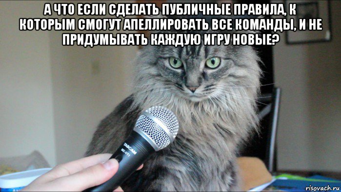 а что если сделать публичные правила, к которым смогут апеллировать все команды, и не придумывать каждую игру новые? 
