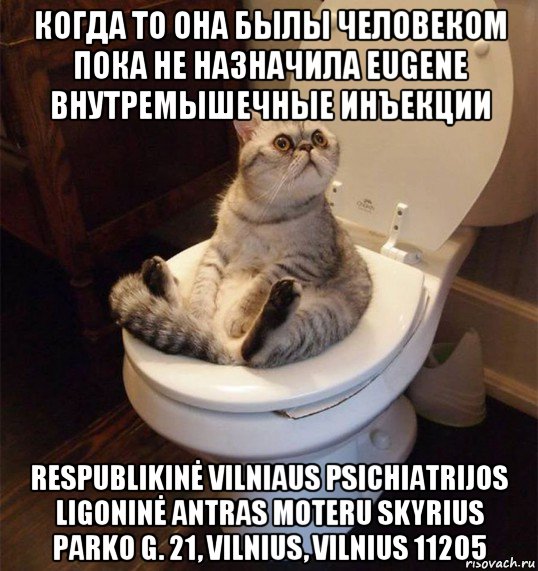 когда то она былы человеком пока не назначила eugene внутремышечные инъекции respublikinė vilniaus psichiatrijos ligoninė antras moteru skyrius parko g. 21, vilnius, vilnius 11205, Мем Кот в туалете