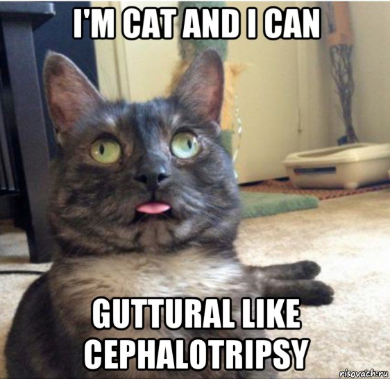 i'm cat and i can guttural like cephalotripsy, Мем   Кот завис