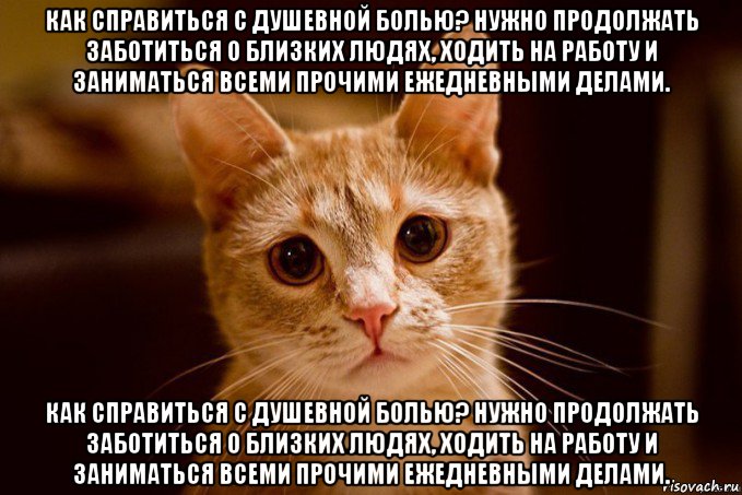 как справиться с душевной болью? нужно продолжать заботиться о близких людях, ходить на работу и заниматься всеми прочими ежедневными делами. как справиться с душевной болью? нужно продолжать заботиться о близких людях, ходить на работу и заниматься всеми прочими ежедневными делами.