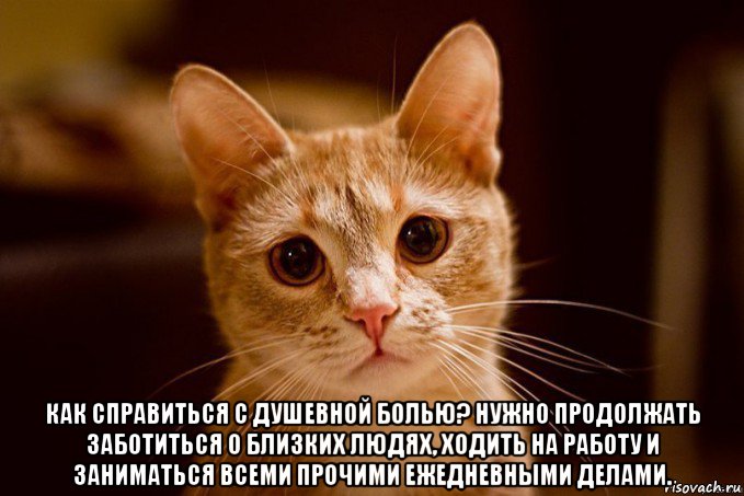  как справиться с душевной болью? нужно продолжать заботиться о близких людях, ходить на работу и заниматься всеми прочими ежедневными делами.