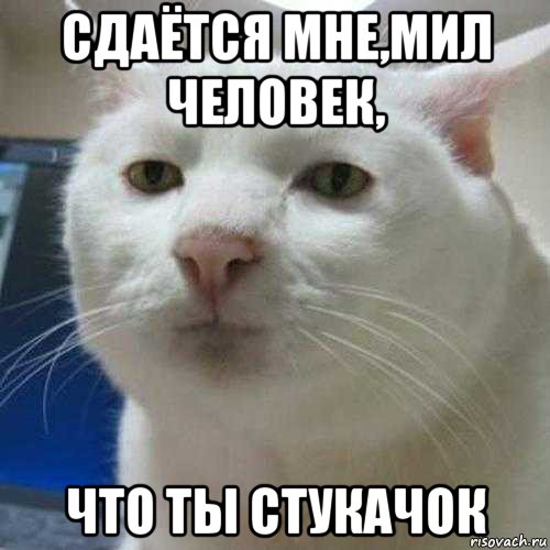 сдаётся мне,мил человек, что ты стукачок