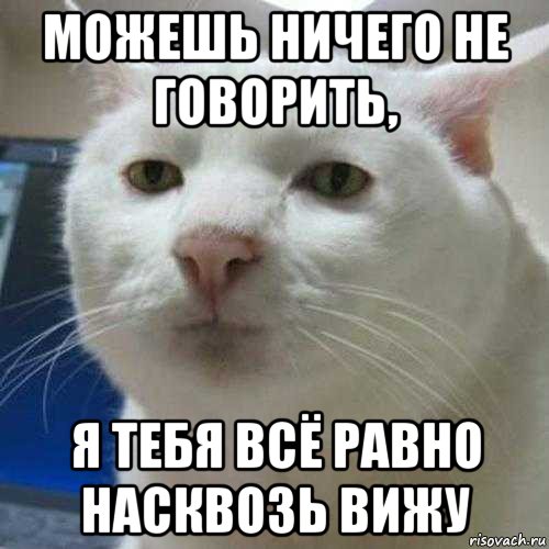 можешь ничего не говорить, я тебя всё равно насквозь вижу