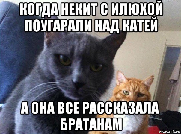 когда некит с илюхой поугарали над катей а она все рассказала братанам, Мем  Два котэ