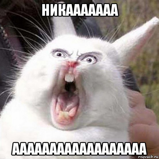 никааааааа аааааааааааааааааа