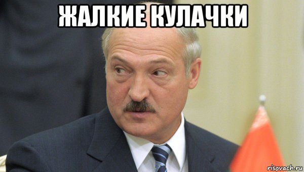 жалкие кулачки , Мем Лукашенко