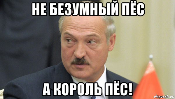 не безумный пёс а король пёс!, Мем Лукашенко