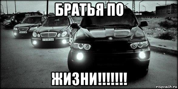 братья по жизни!!!!!!!