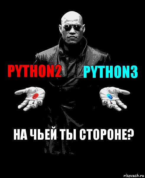 Python2 Python3 На чьей ты стороне?, Комикс Выбор