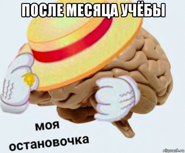 после месяца учёбы , Мем   Моя остановочка мозг