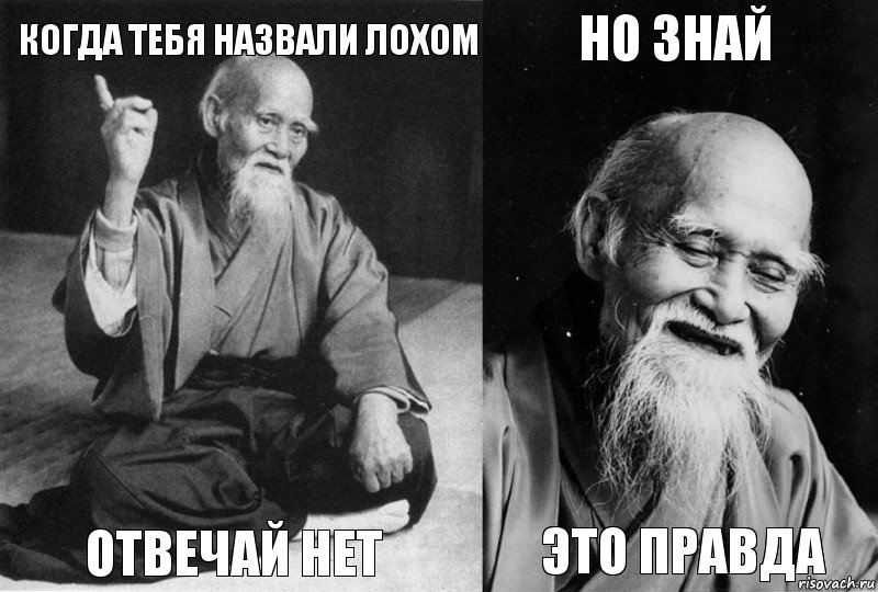 когда тебя назвали лохом отвечай нет но знай это правда, Комикс Мудрец-монах (4 зоны)