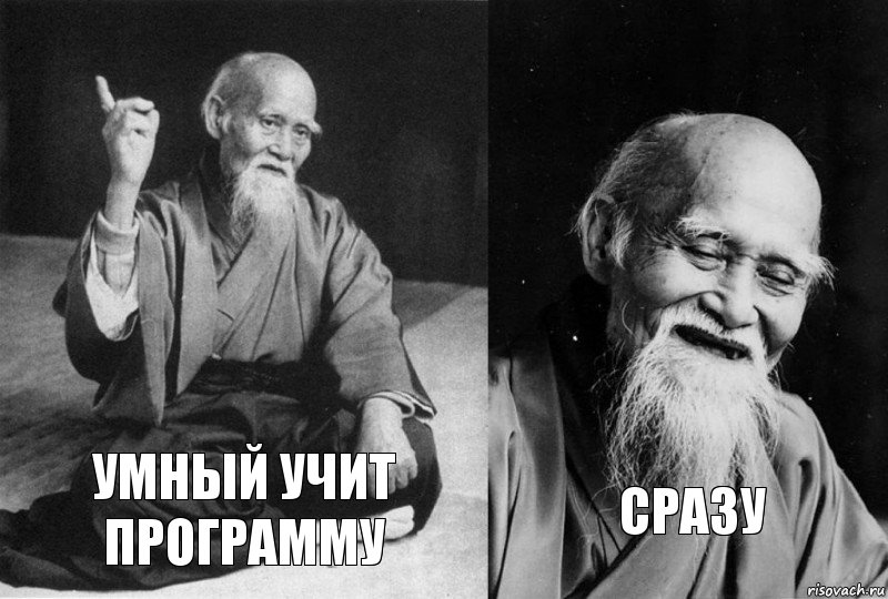 Умный учит программу сразу, Комикс Мудрец-монах (2 зоны)