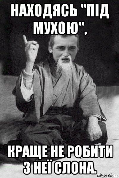 находясь "під мухою", краще не робити з неї слона., Мем Мудрий паца