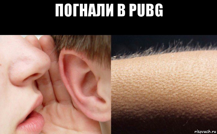 погнали в pubg 