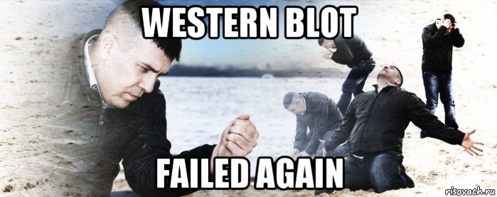 western blot failed again, Мем Мужик сыпет песок на пляже