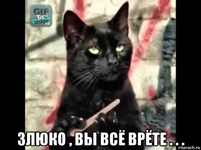  злюко , вы всё врёте . . .