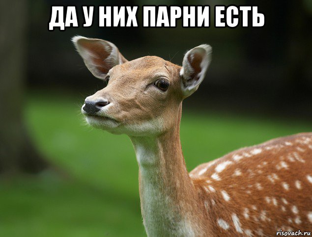 да у них парни есть 